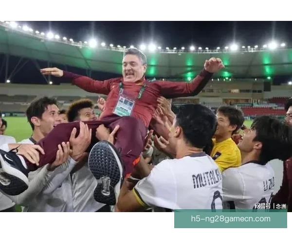 使馆协商中国球迷决赛免票入场