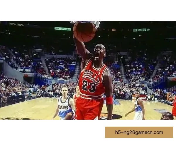 乔丹之后浓眉接棒奇才23号位